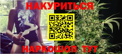 прущие грибы Ноябрьск