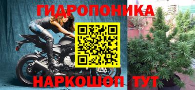 прущие грибы Ноябрьск
