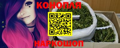 индика Ногинск
