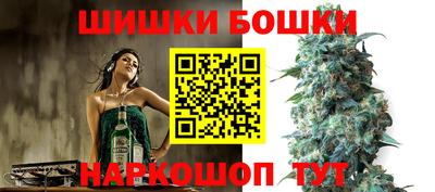 прущие грибы Ноябрьск