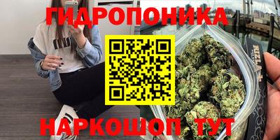 индика Ногинск