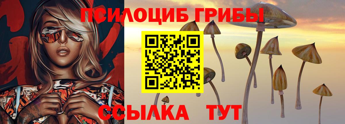 Галлюциногенные грибы прущие грибы  Вход с VPN  Зеленогорск  Галлюциногенные грибы мицелий 